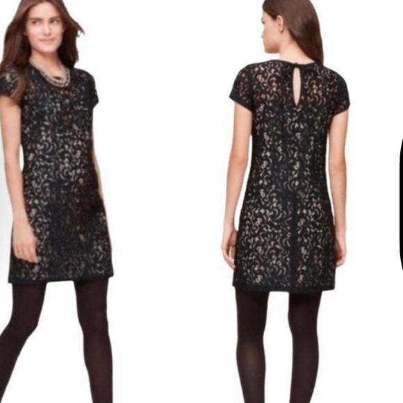 Loft black lace shift dress - Picture 2 of 6